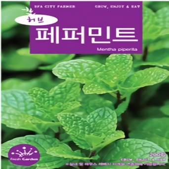 메가비즈 협력사 쌍떡잎식물 꿀풀과의 여러해살이 풀 페퍼민트 (청농) 200립