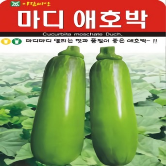 메가비즈 협력사 좀 더 양이 많은 애호박 종자 마디 애호박 씨앗 30립